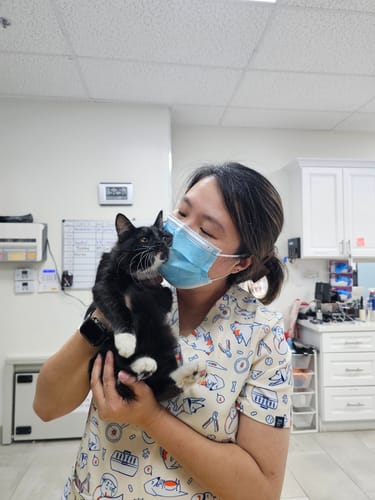 Customer photo review of The Vet Life - Women's Scrub Top