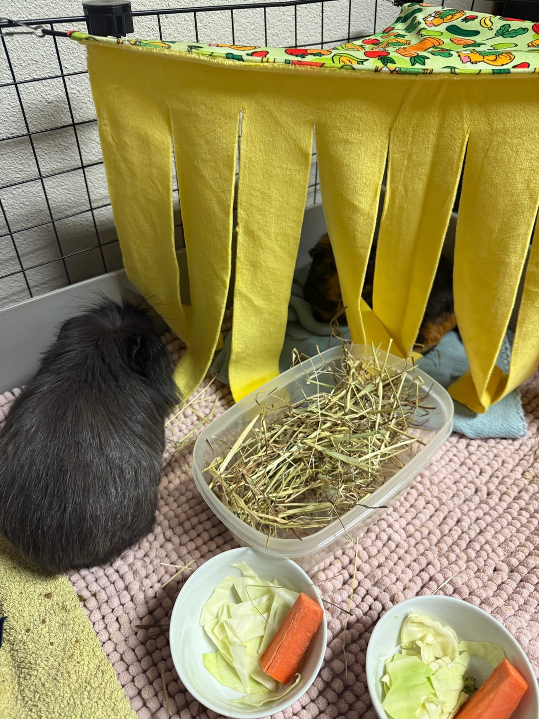 Customer photo review of Corner Curtain - The Little Jack Horner Corner Tent