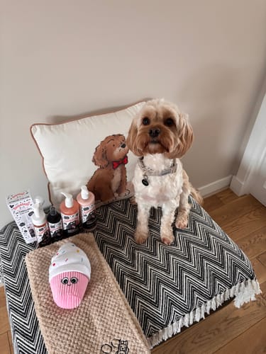 Customer photo review of Papaya & Coconut Scent Bundle