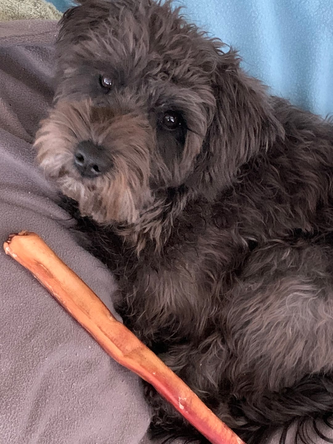 Customer photo review of 12 Inch Beef Jerky Stick
