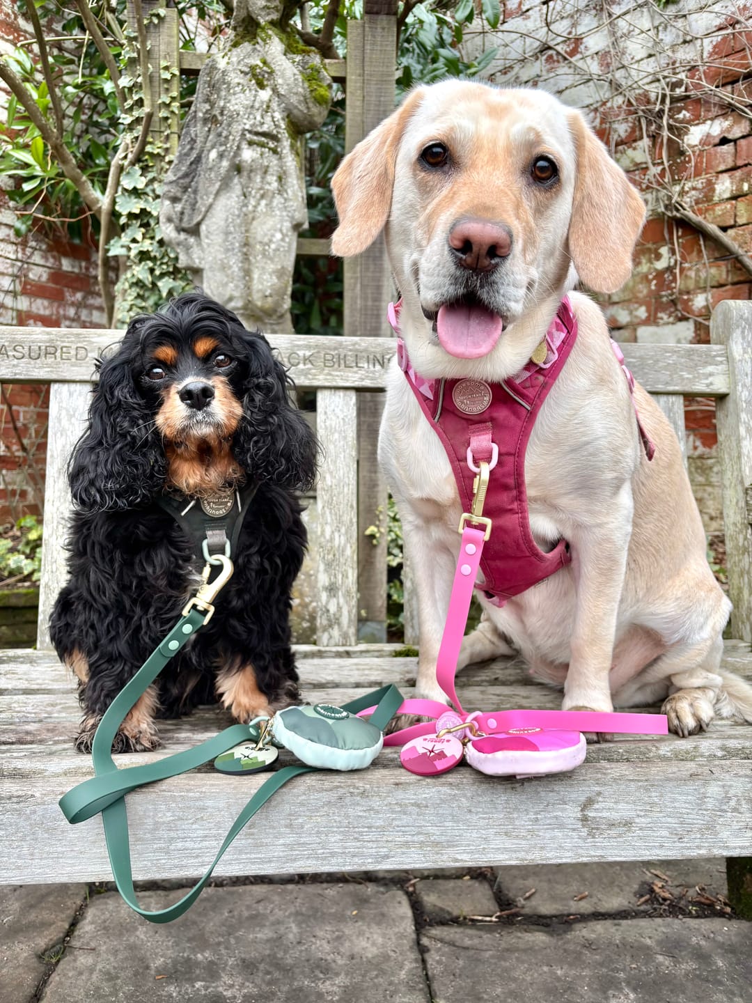 Customer photo review of 4ft Waterproof Lead - Walkies Ready® Forest Green
