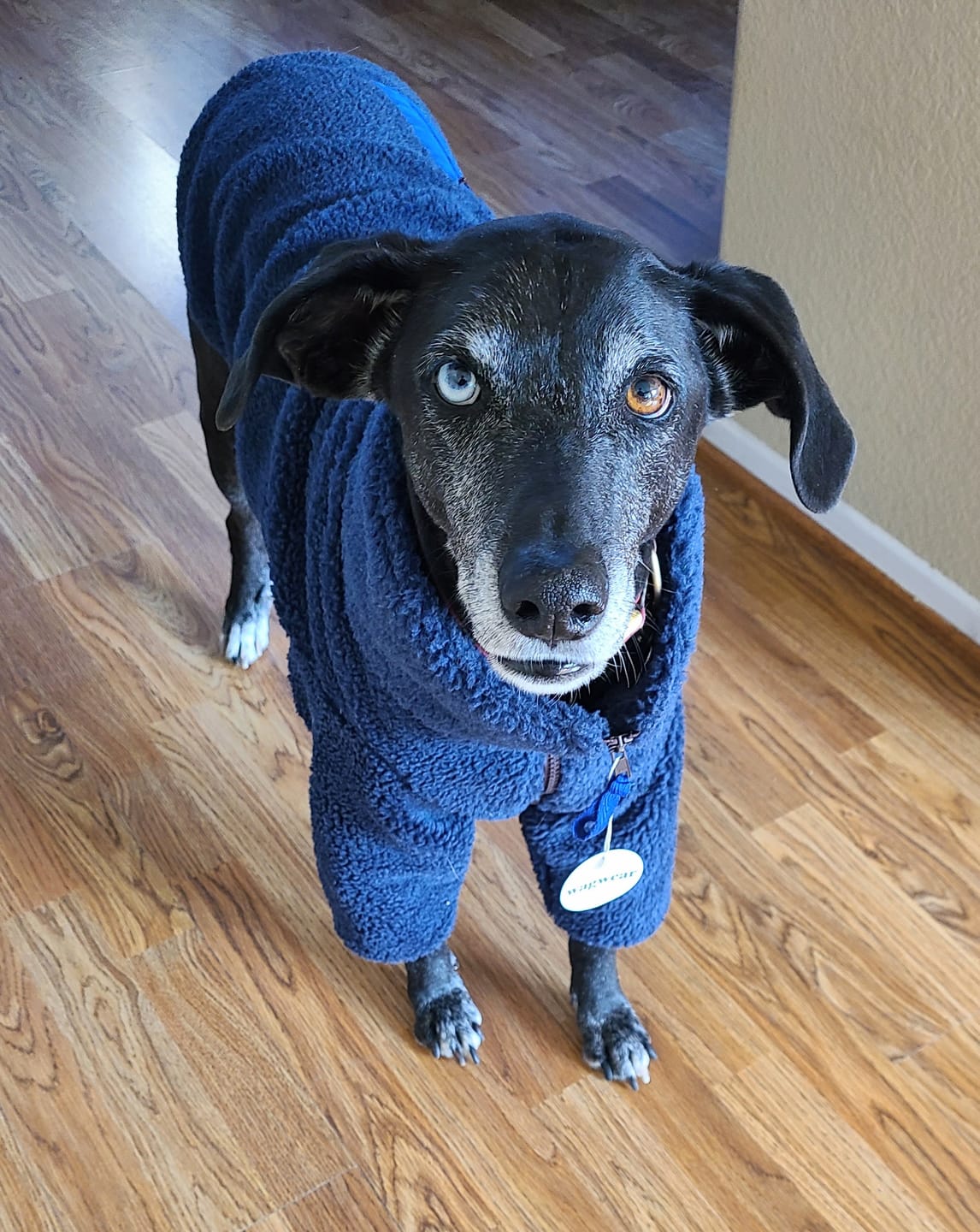 Customer photo review of Monkey Fleece Jacket