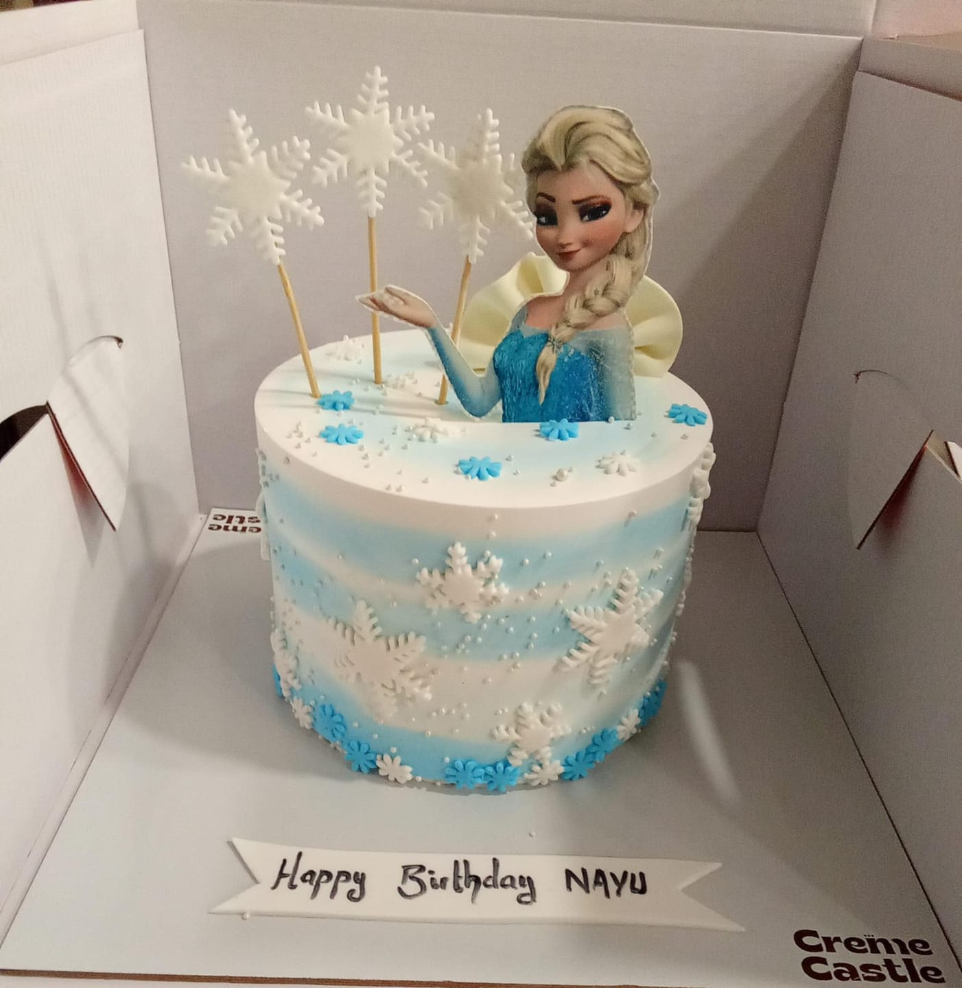 Customer photo review of Frozen Magical Cake