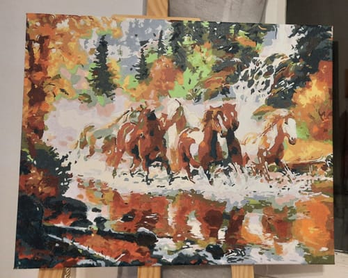 Customer photo review of צביעה לפי מספרים - סוסי מוסטנג