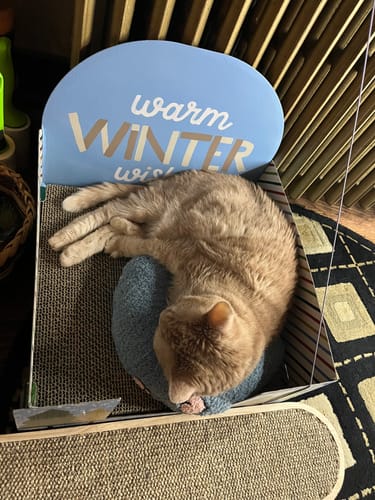 Customer photo review of NuzzleNap