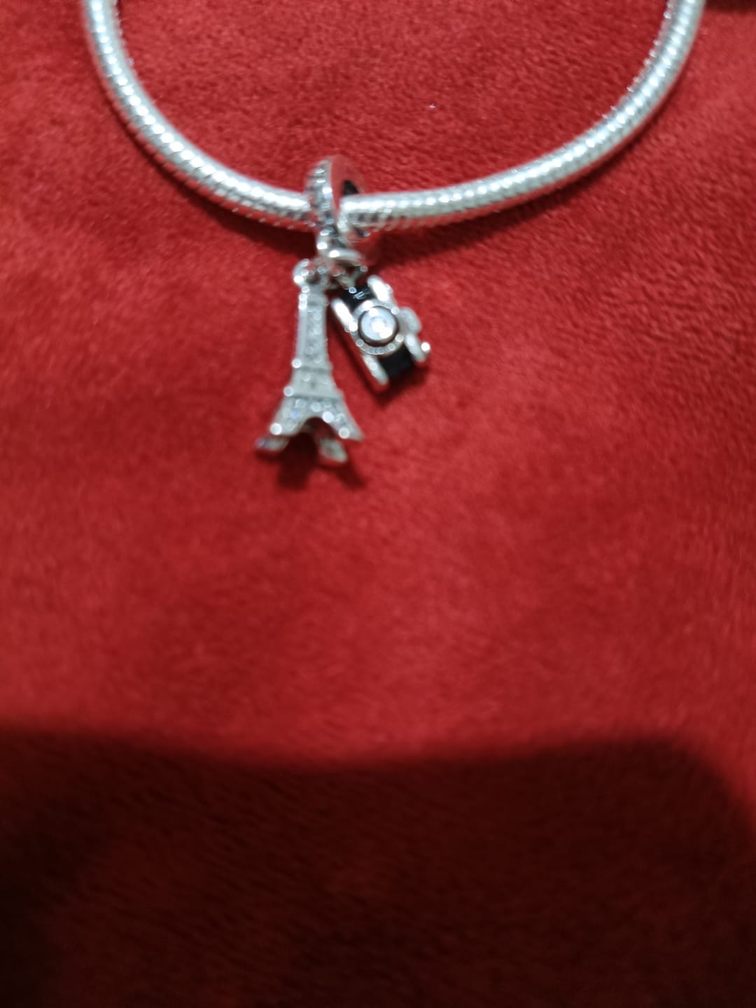 Customer photo review of Charm Paris