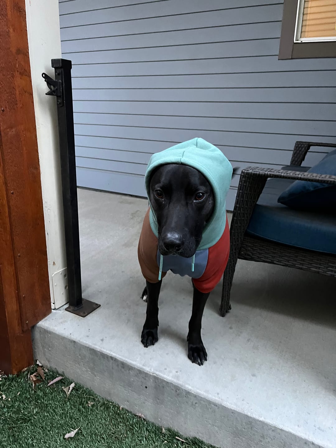 Customer photo review of Alpine Human Hoodie