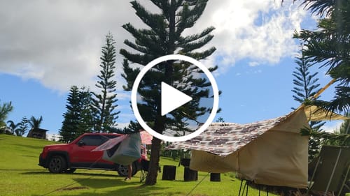 Customer video review of Haven Safari