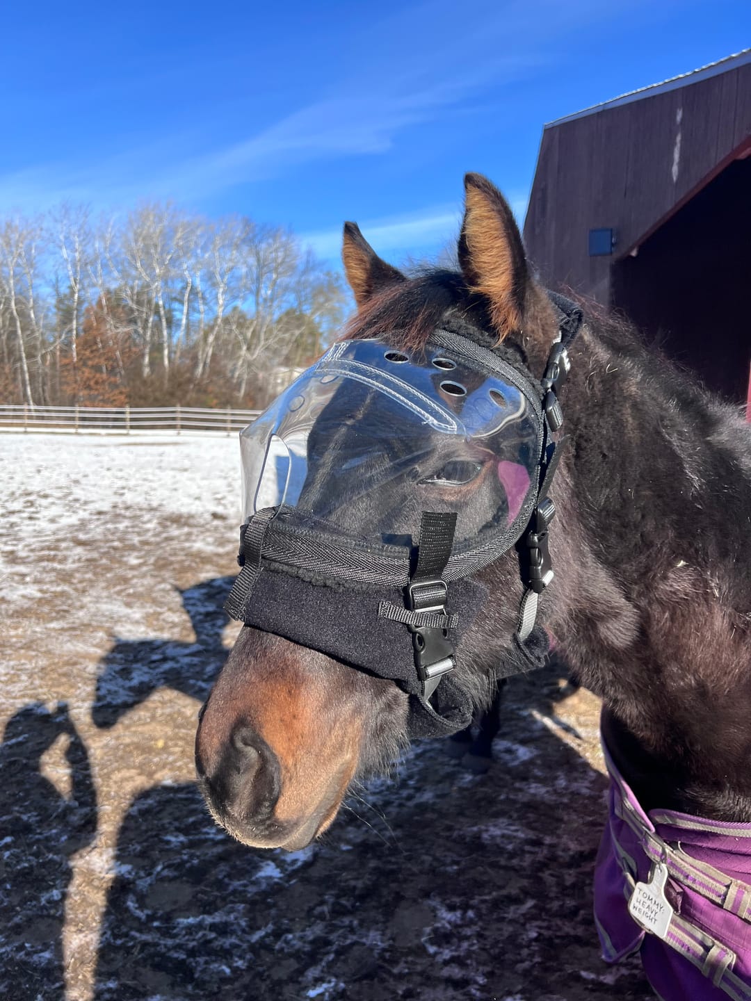 Customer photo review of Recovery Vizor - Clear UV Tint