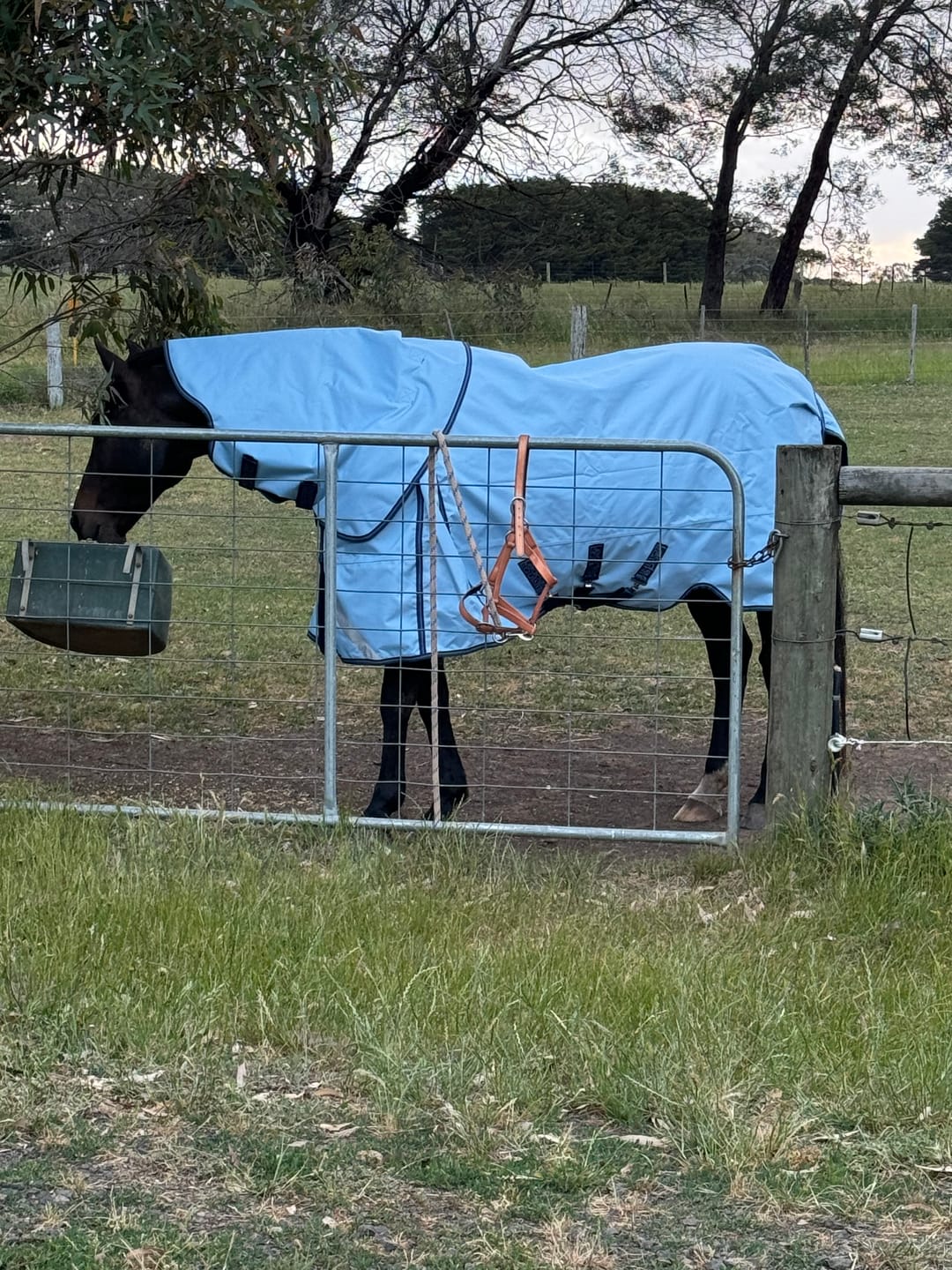 Customer photo review of LE Boxter Turnout Ripstop 50g