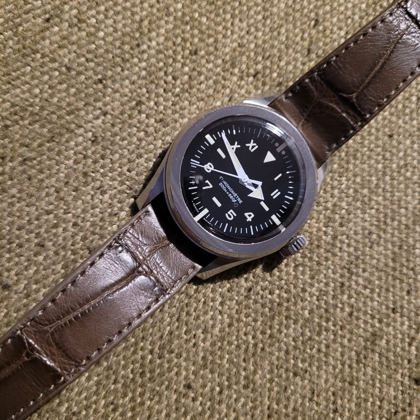 Customer photo review of Matte Sage Alligator