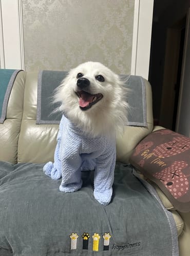 Customer photo review of パウドライローブ