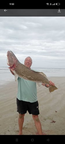 Customer photo review of Aeroo Pro Combo