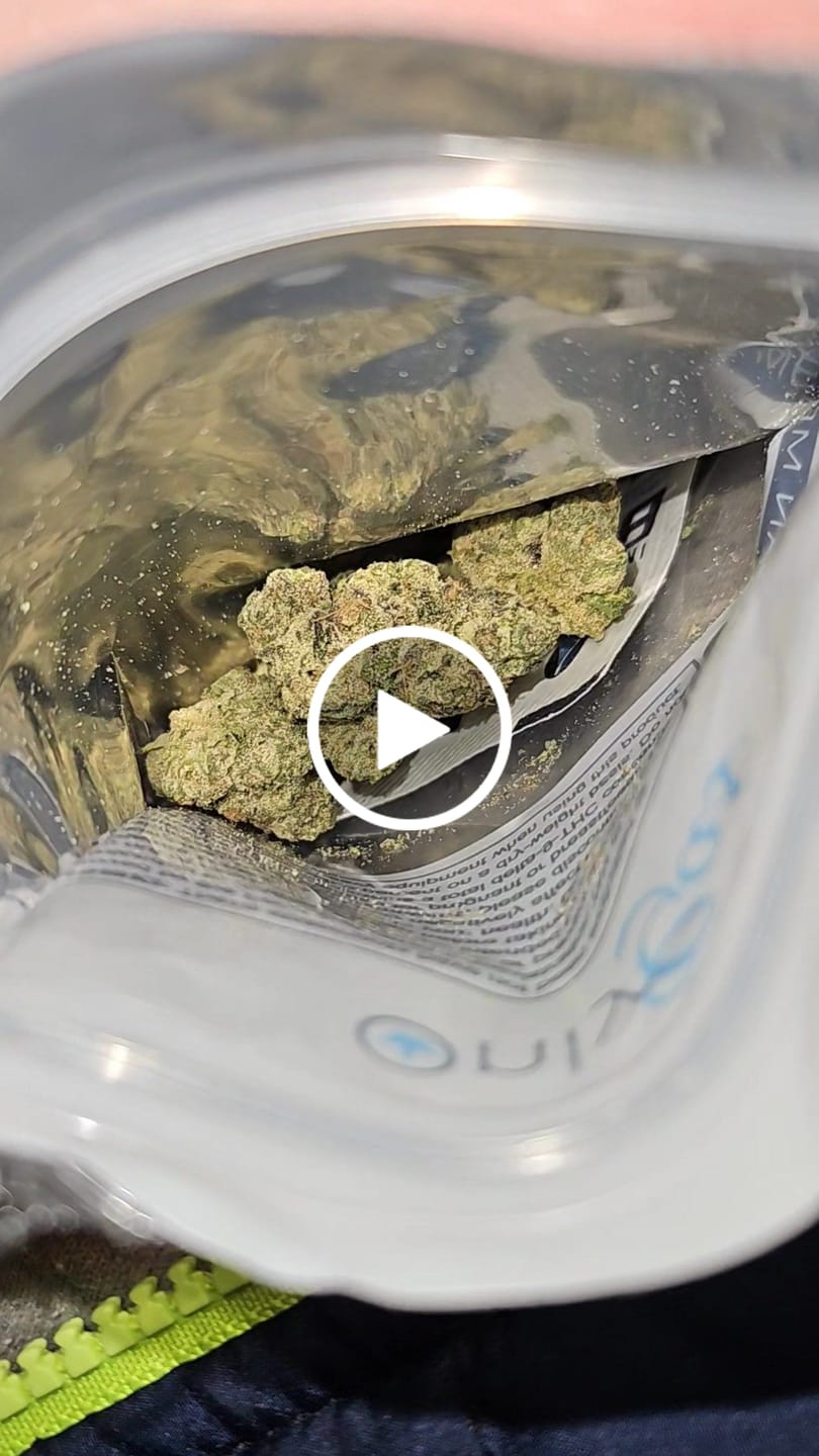 Customer video review of Mochi - THCa Flower