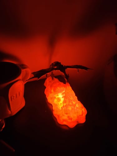 Customer photo review of Unique Fire Dragon 3D Printed LED Night Lights Gifts