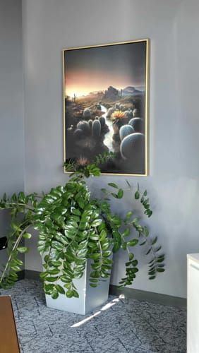 Customer photo review of Arizona Desert Oasis