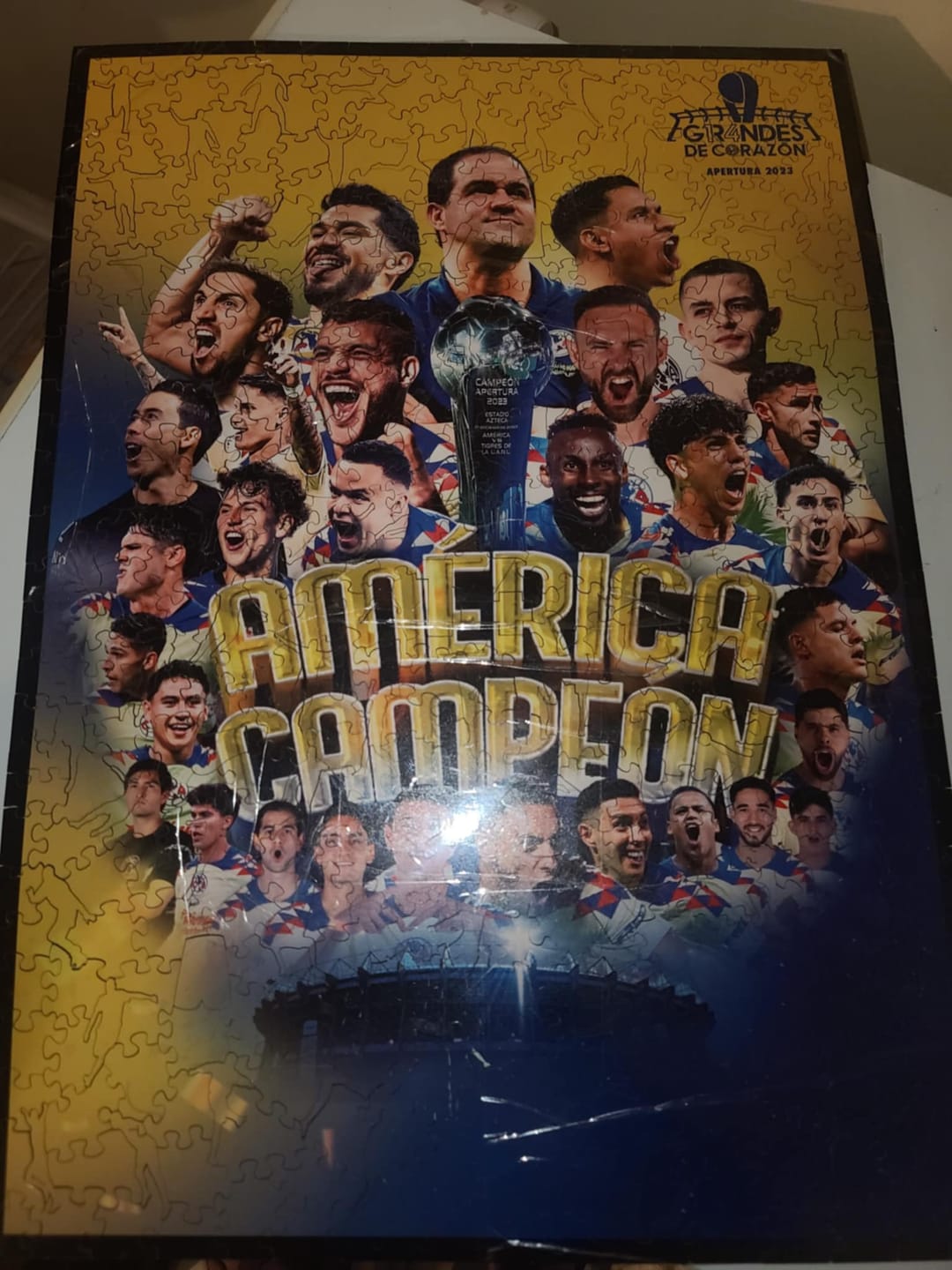 Customer photo review of Club América® Champion - Wooden Puzzle