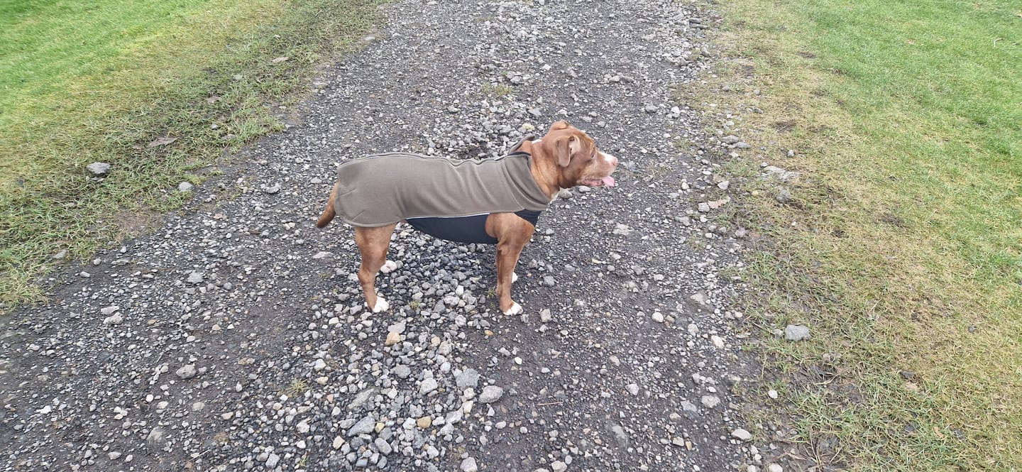 Customer photo review of Dog Fleece With Zip - Khaki