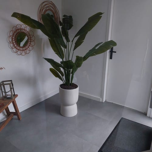 Customer photo review of Strelitzia Kunstplant 180cm