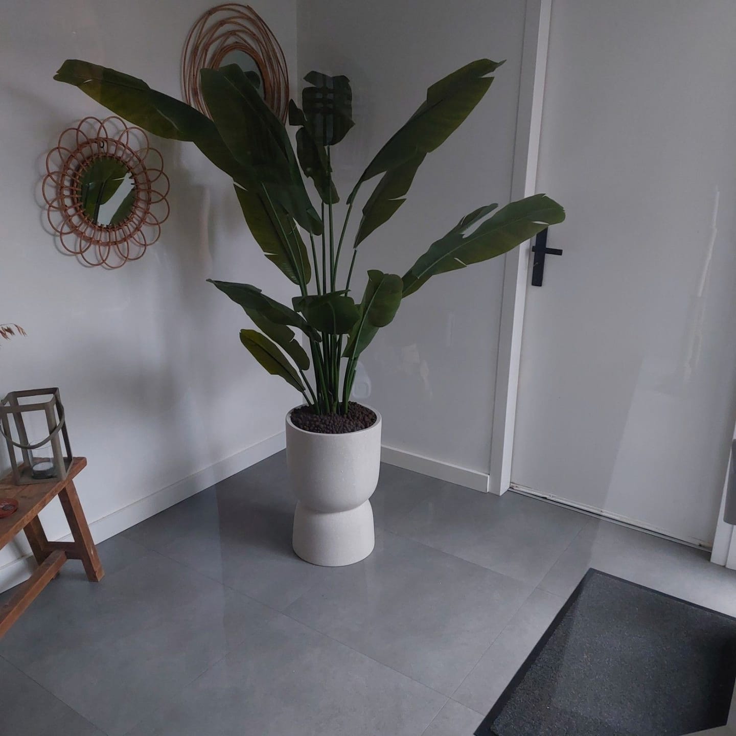 Customer photo review of Strelitzia Kunstplant 180cm