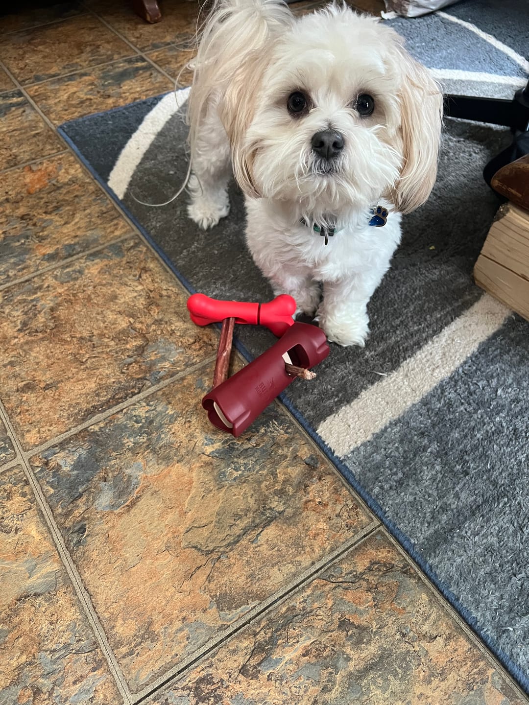 Customer photo review of Bully Stick Safety Holder