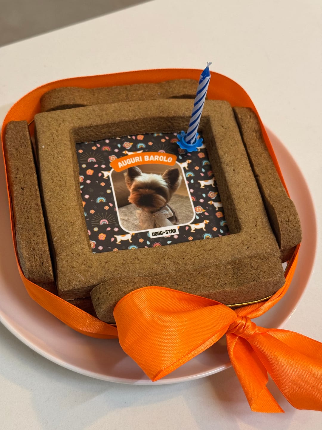 Customer photo review of BiscoBau Fotogenica Torta Per Cani con Fotografia e Messaggio (senza decorazioni di glassa o pasta di zucchero)