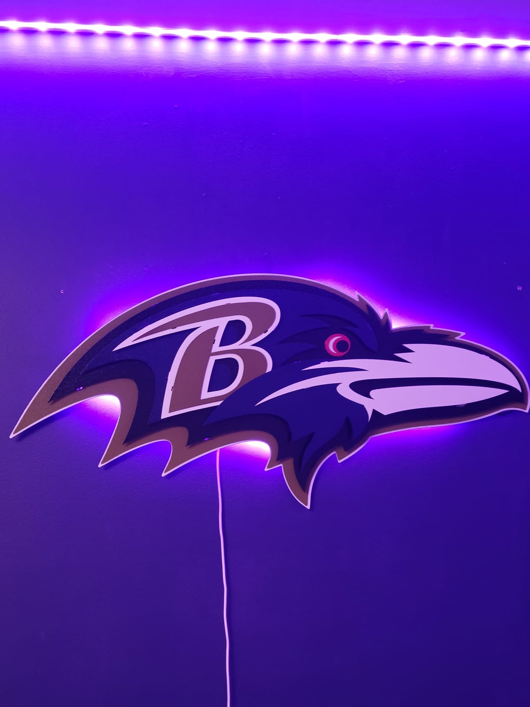 Customer photo review of Baltimore Ravens "Raven Mascot" 3D Vintage Metal Wall Art
