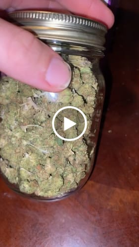 Customer video review of Shipping Protection by Route