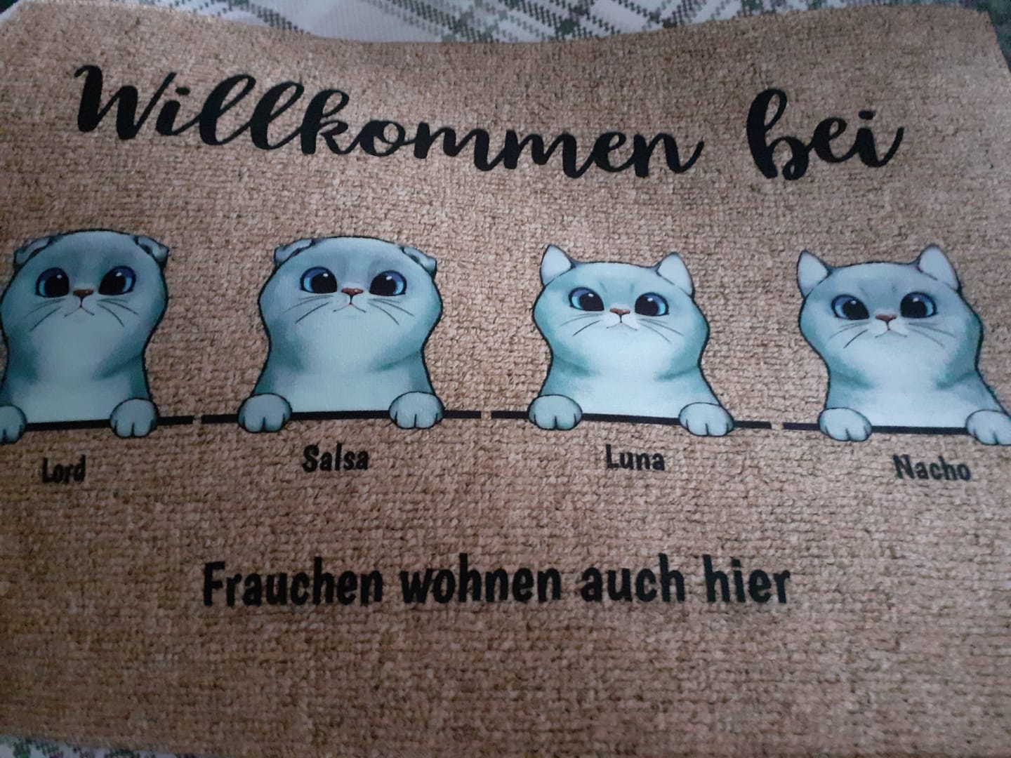 Customer photo review of Willkommen bei neugierigen Katzen - Individuelle Fußmatte
