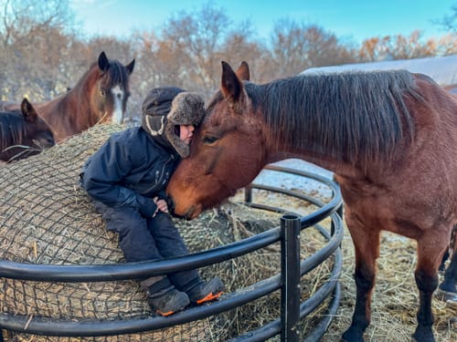 Customer photo review of Hay Chix® Large Bale Net - 6'