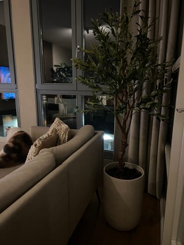 Customer photo review of Kunst Olijfboom 150cm