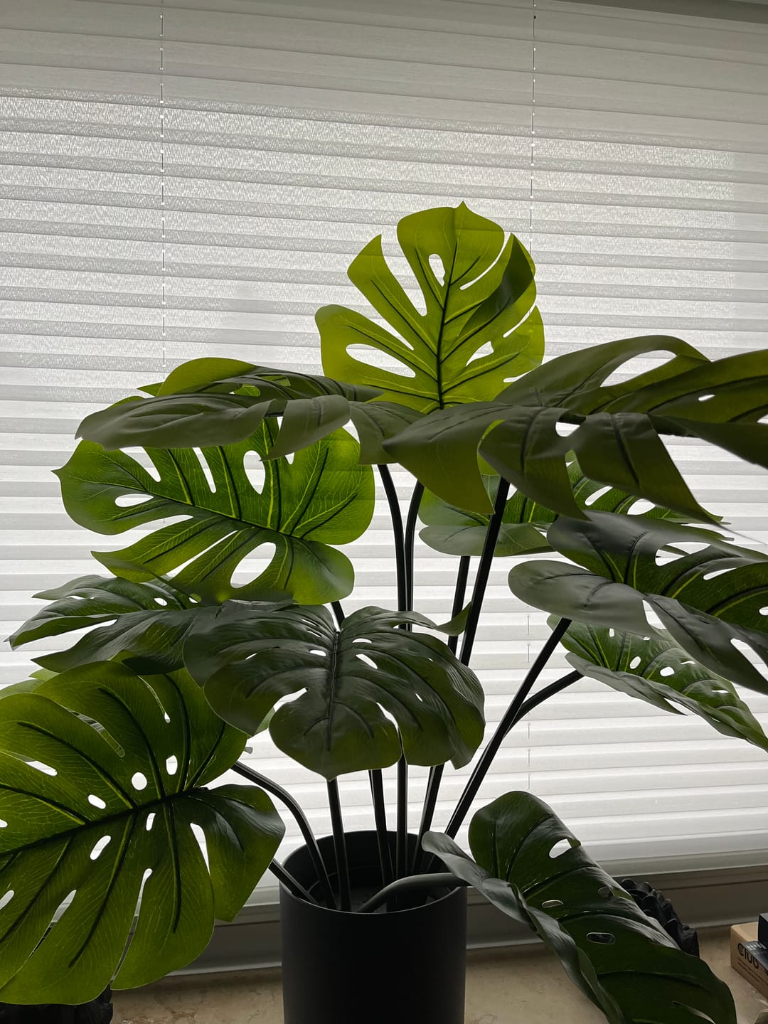 Customer photo review of Monstera Kunstpflanze A 80cm