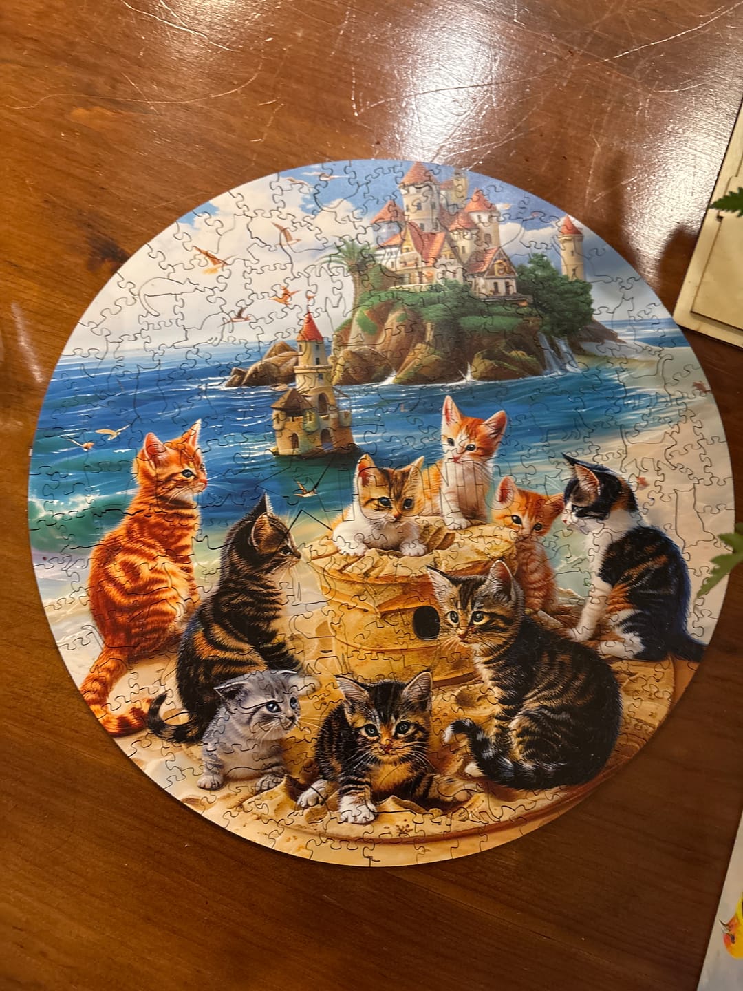 Customer photo review of Kittens at The Seaside - Wooden Puzzle