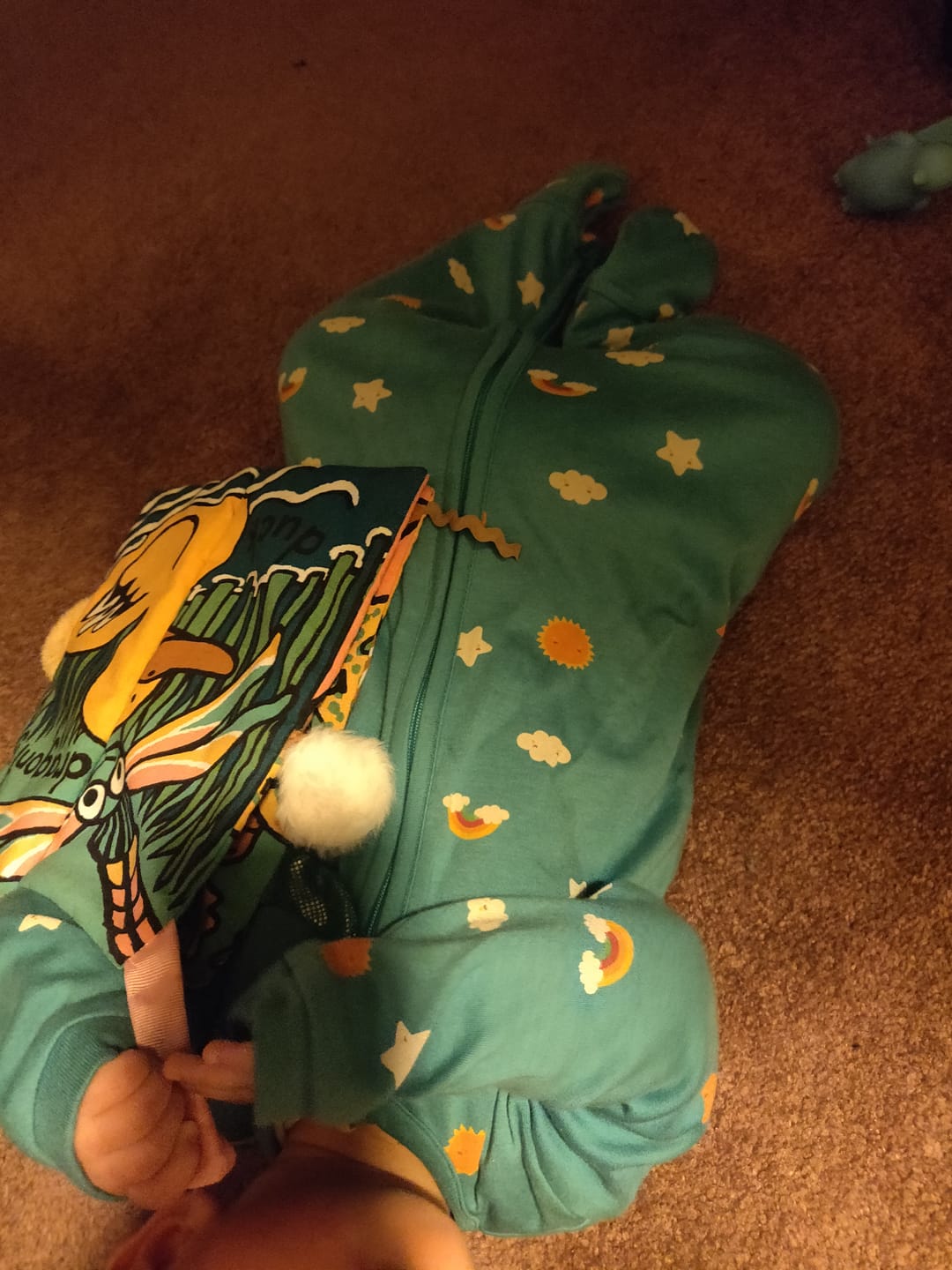 Customer photo review of Garden Birds Organic Zip Babygrow