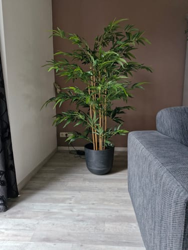 Customer photo review of Bamboe Kunstplant 180 cm