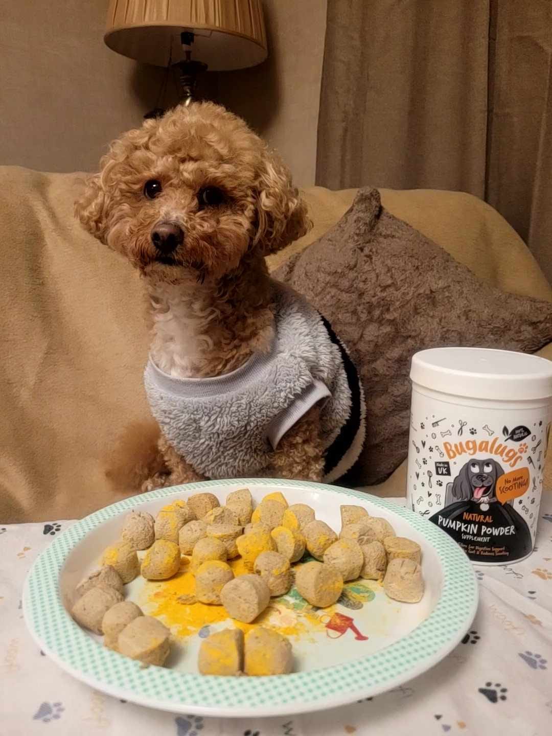 Customer photo review of Pumpkin Powder Supplement for Dogs (200g)