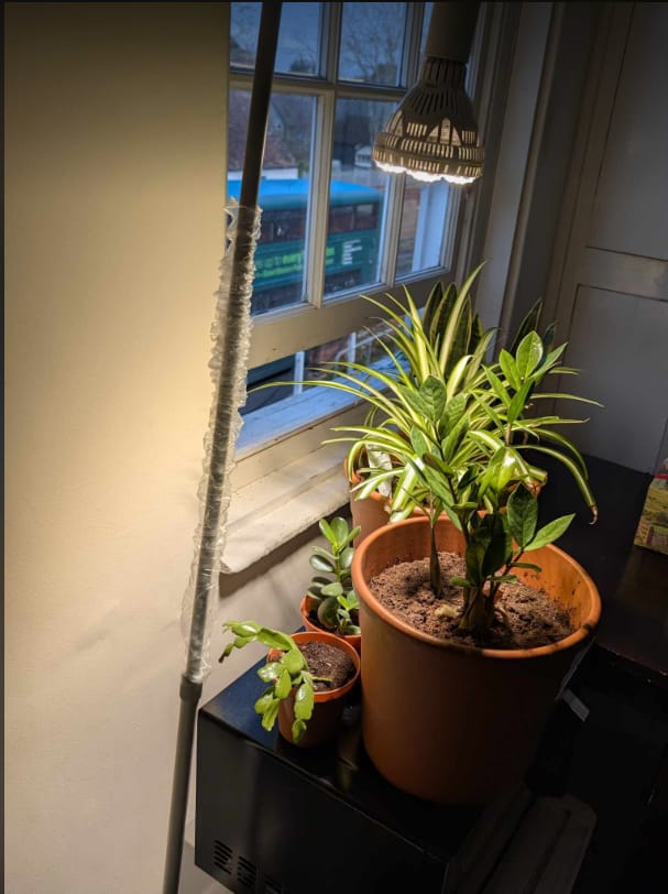 Customer photo review of Pianta Adjustable Floor Lamp