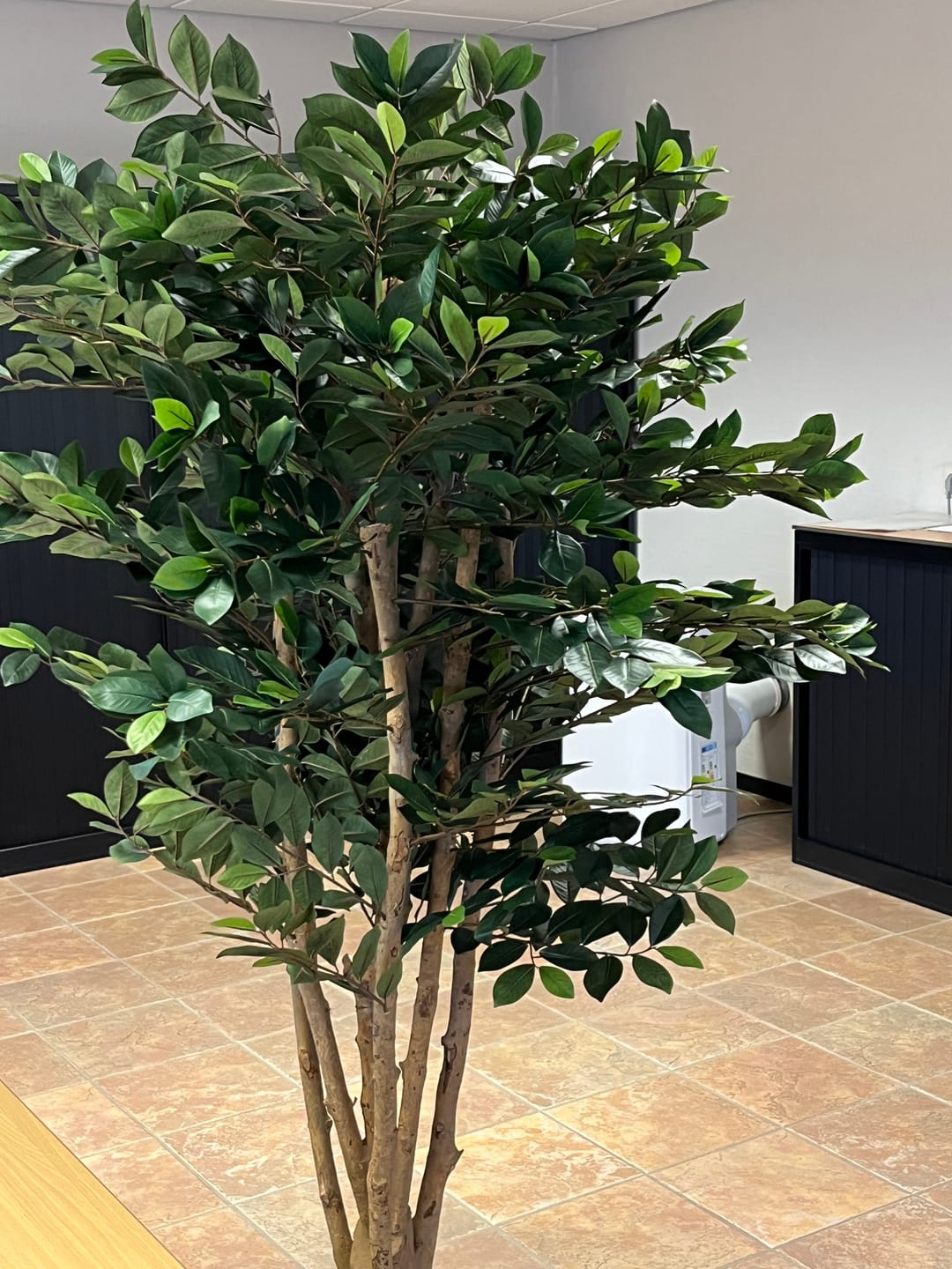 Customer photo review of Pre-Order Longifolia Kunstplant 180cm