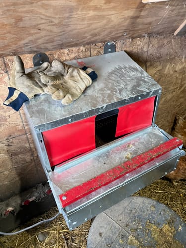 Customer photo review of HeatMats - Keep your eggs from freezing