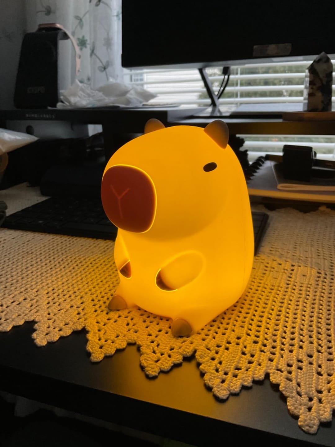 Customer photo of Capybara Night Light