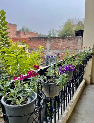 Customer photo review of UnitedCrafts Heart Railings Stands for Balcony & Home Decoration