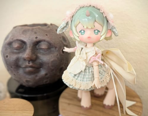 Customer photo review of Antu Dreamlike Tea Party Daydream Limited Action Figure BJD Blind Box