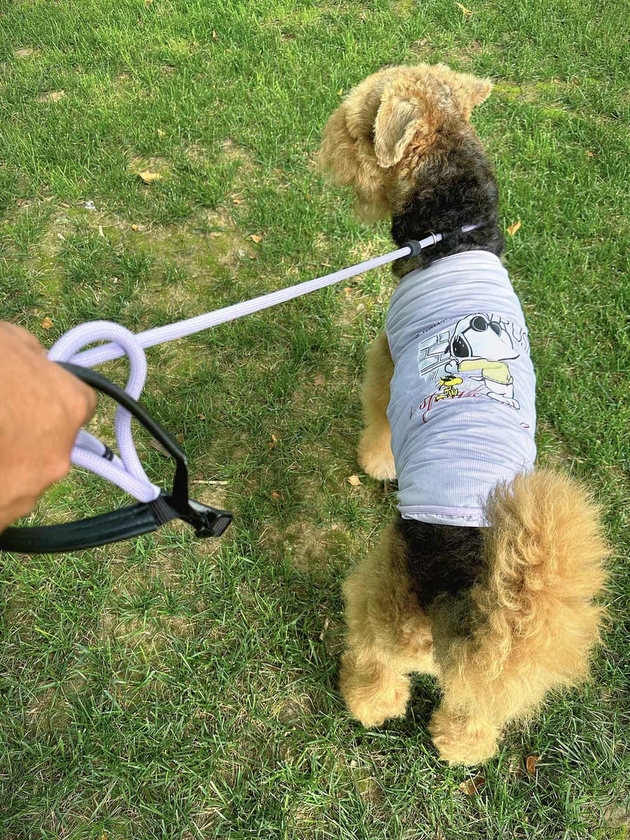 Customer photo review of BOBO One-piece Leash With Leather Handle