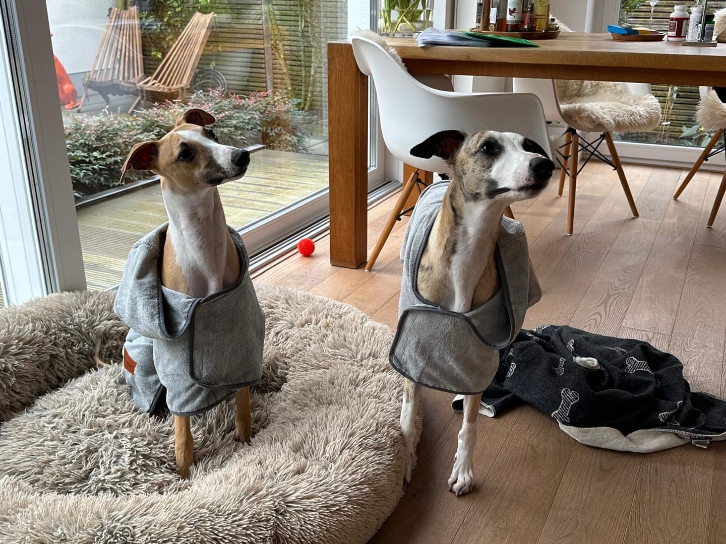 Customer photo review of Premium Hunde Bademantel