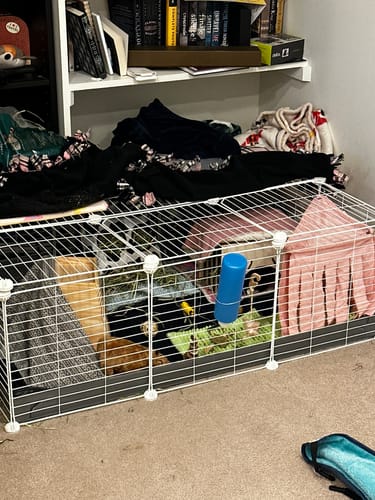 Customer photo review of White 3x2 C&C Cage