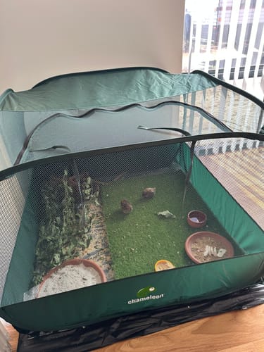 Customer photo review of PUC1000