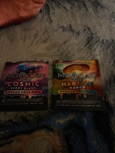 Customer photo review of The Original Trip Kit