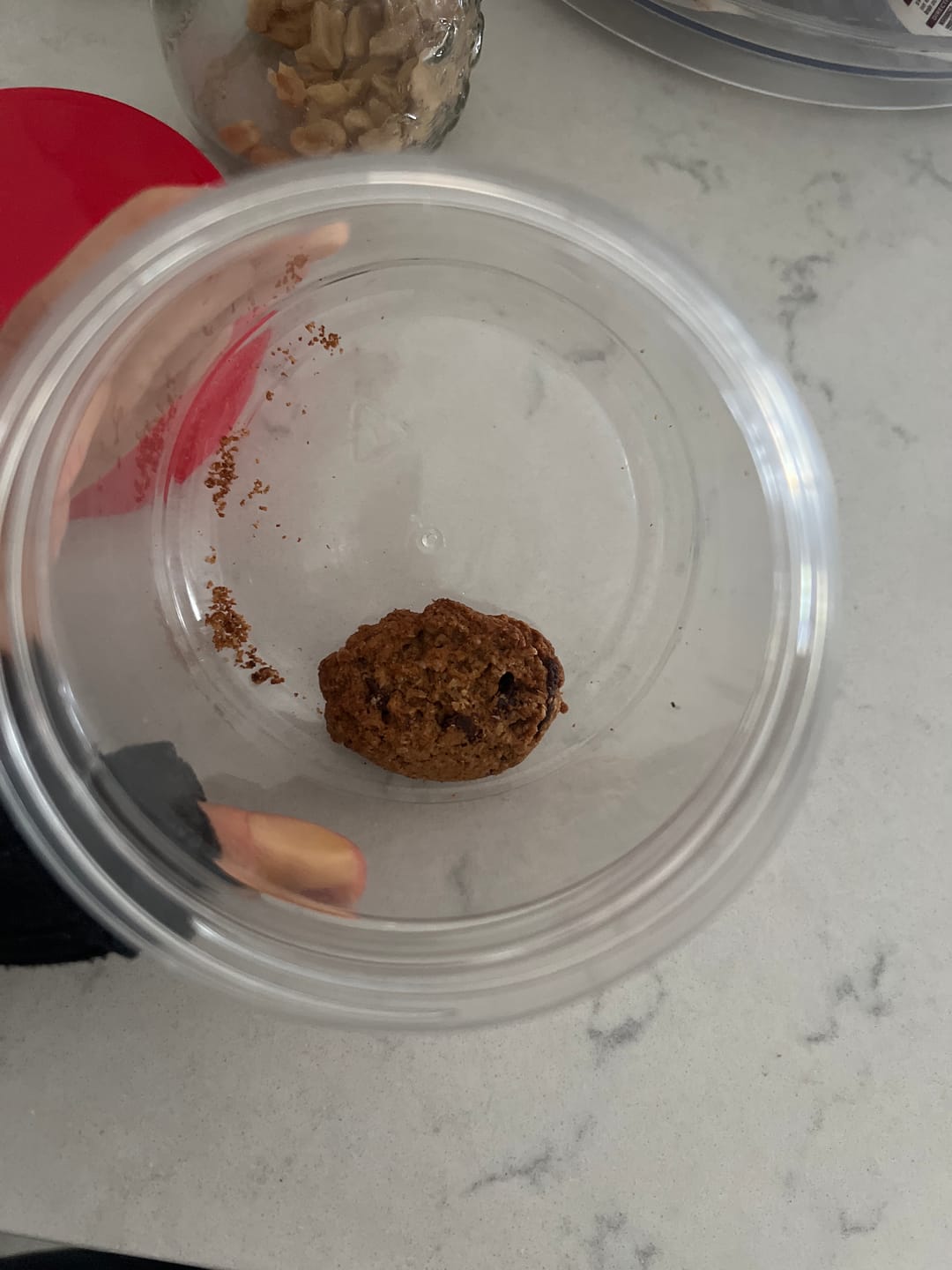 Customer photo review of Choc Chip Mama Biscuits