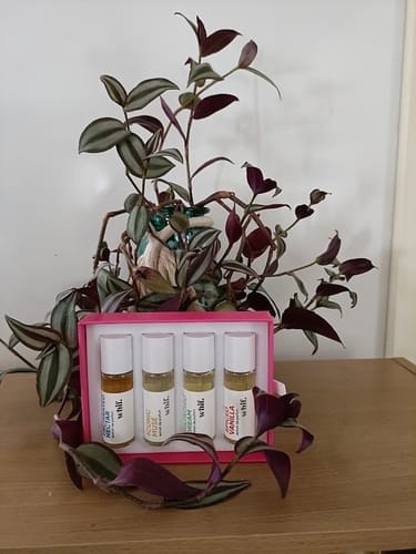 Customer photo review of French Bouquet Set - FREE GIFT!