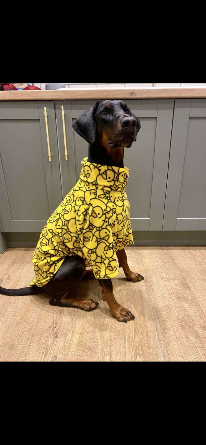 Customer photo review of Yellow Ducks Anti Pill Polar Fleece Fabric